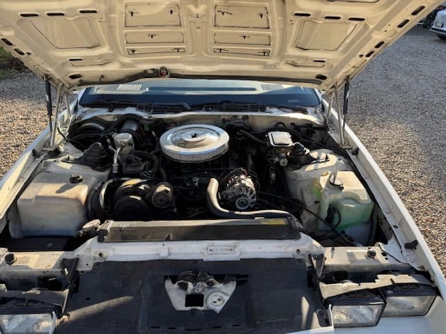 Chevrolet Camaro til salg på SmallBlock.dk